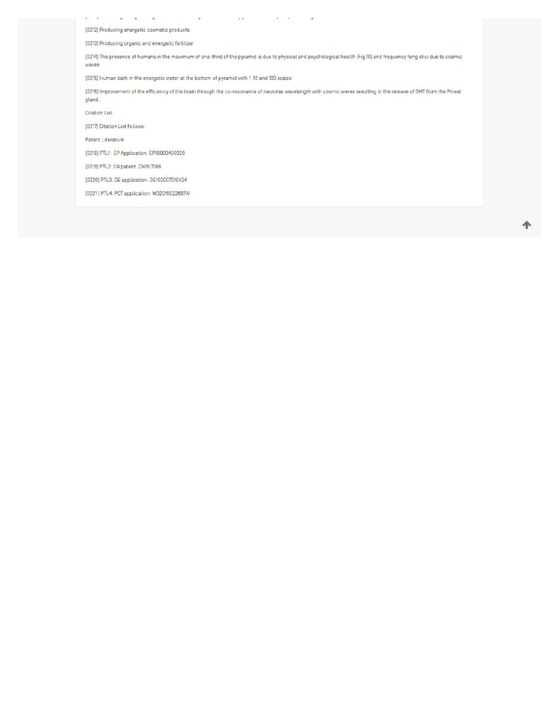 patentscope.wipo_.int__pages-to-jpg-0010